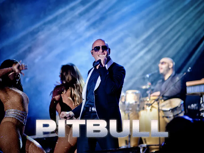 Pitbull